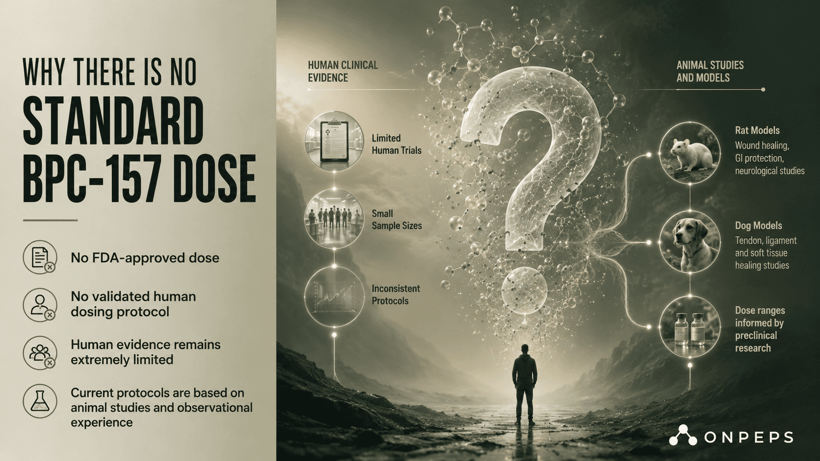 why there is no standard BPC-157 dose - onpeps