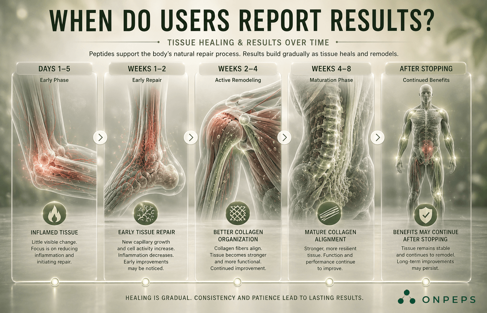 when to expect results after using BPC-157 by onpeps.com